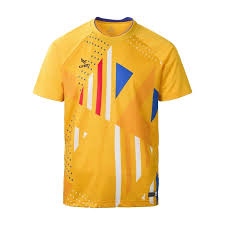 メンズシャツハノイチーム 2024 - 着