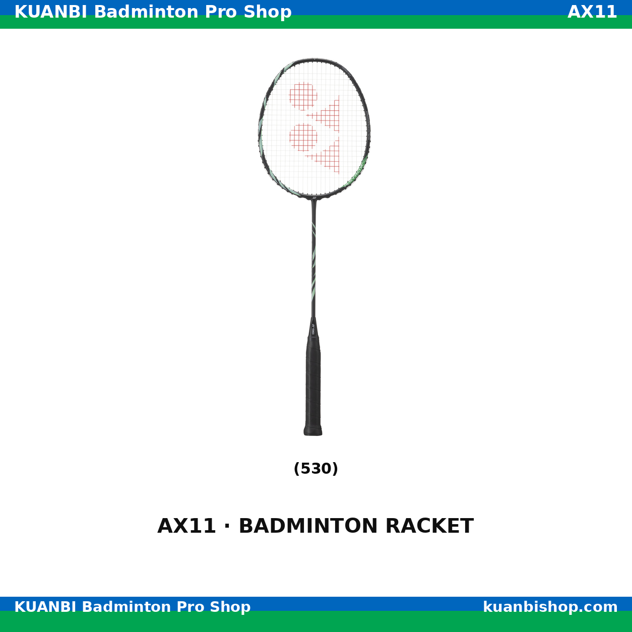 アストロクス１１. AX11
