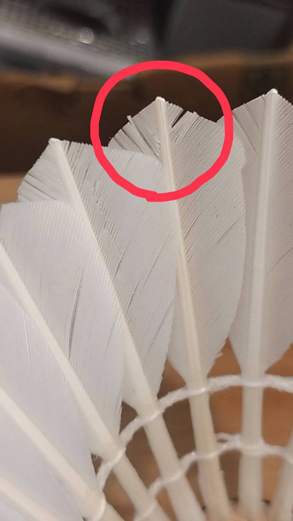 バドミントンプロショップ　クアンビ